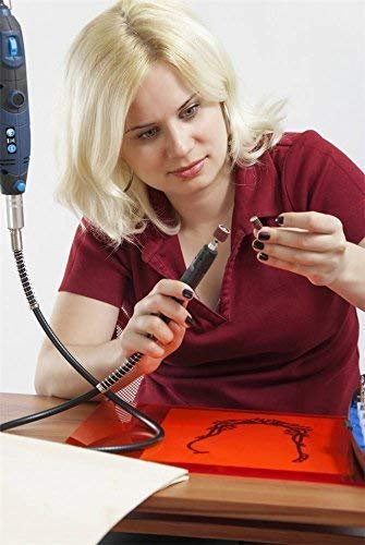 41Q+uzYqQZL 41Q+uzYqQZL