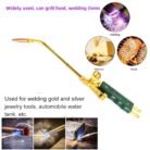 Hanbon 39106 Brass LPG Gas Blow Torch with Green Plastic Handle